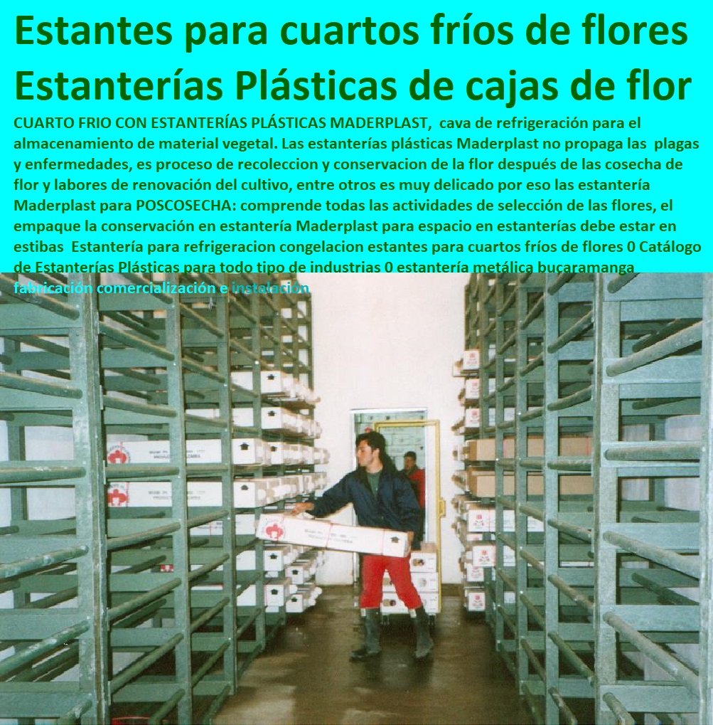 Estantería para refrigeracion congelacion estantes para cuartos fríos de flores 0 Catálogo de Estanterías Plásticas para todo tipo de industrias 0 estantería metálica bucaramanga diseño fabricación comercialización e instalación Estantería para refrigeracion congelación estantes para cuartos fríos de flores 0 Catálogo de Estanterías Plásticas para todo tipo de industrias 0 estantería metálica bucaramanga diseño fabricación comercialización TUTORES PARA FLORES, CABLE VÍA BANANAS AROMÁTICAS, Cultivos Tecnificados, Invernaderos, Semilleros, Bancos De Siembra, Hidroponía, Agricultura, Cosecha, Poscosecha, e instalación